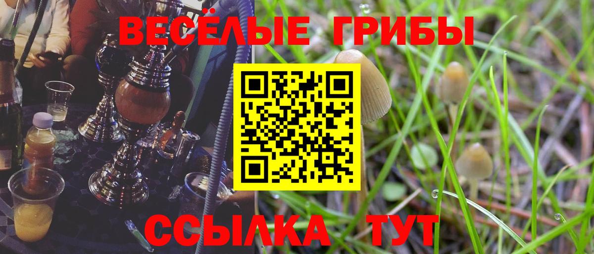 Галлюциногенные грибы GOLDEN TEACHER Моздок