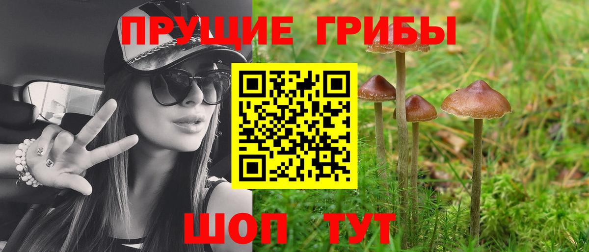 Галлюциногенные грибы мицелий  Псилоцибиновые грибы мухоморы  Моздок  Вход с VPN 